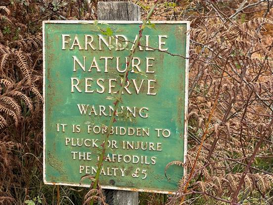 A sign in the woods
Description automatically generated